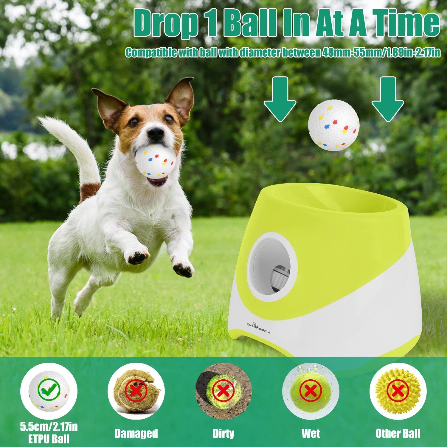 Dog dropping a ball into the top of the automatic launcher