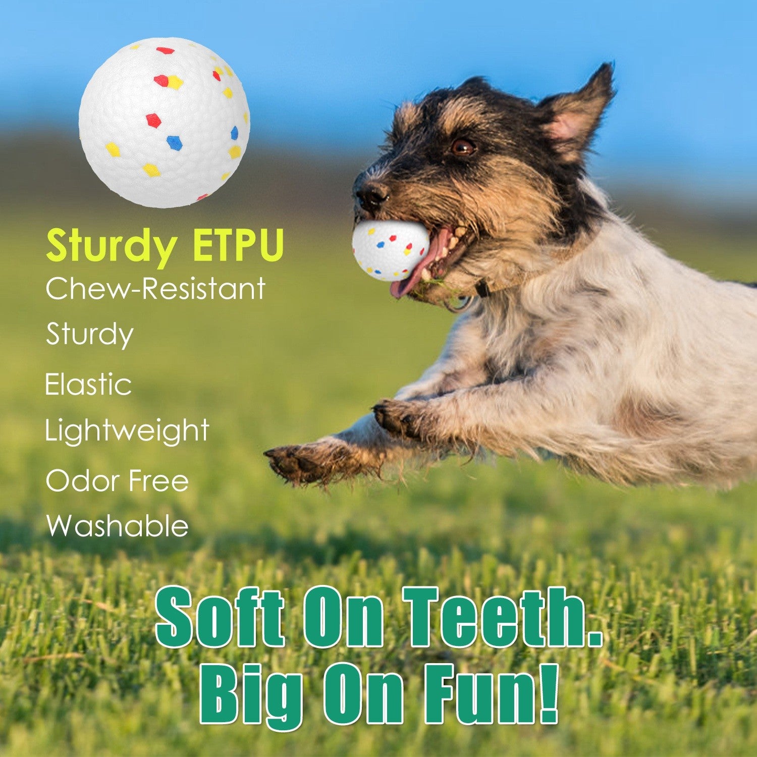 Dog holding a soft ETPU fetch ball in its mouth