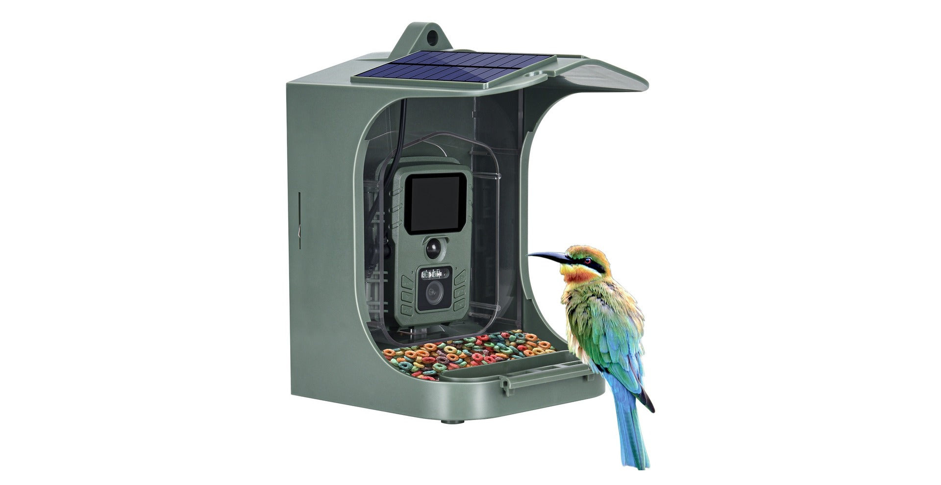 Smart solar bird feeder camera with a colorful bee-eater bird perched on the seed tray